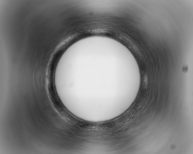 X0000103470732200810031519