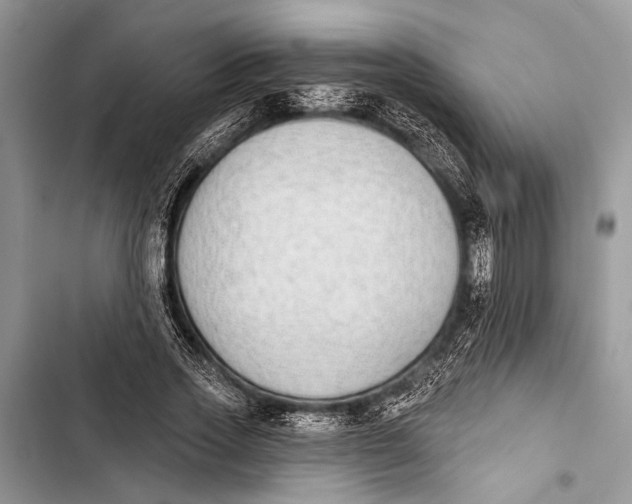 X0000103470733200810031519