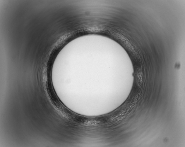 X0000103470734200810031519