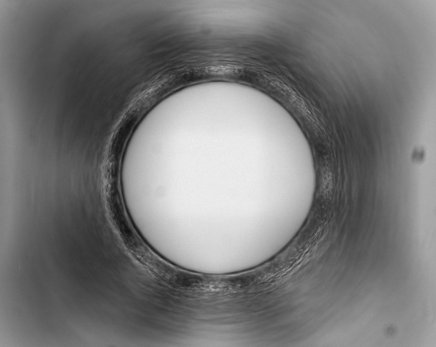 X0000103470736200810031519