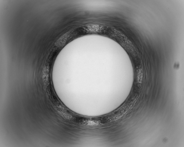 X0000103470737200810031519