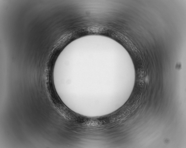 X0000103470738200810031519