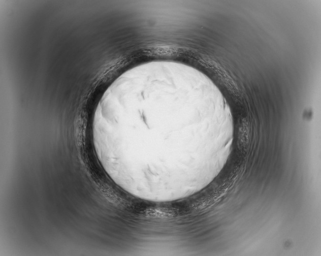 X0000103470739200810031519