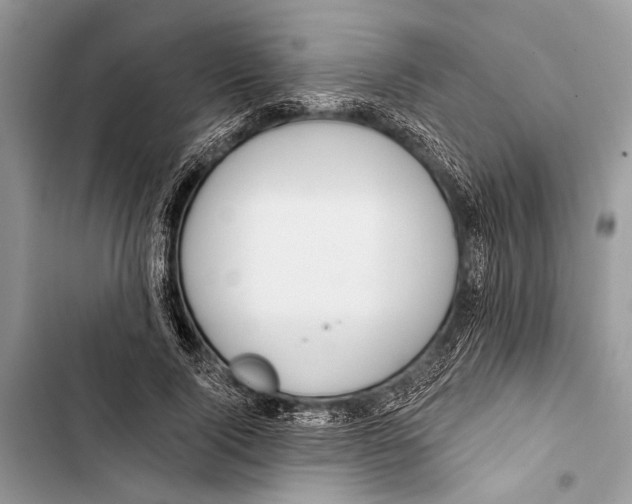 X0000103470740200810031519