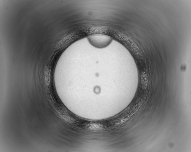 X0000103470741200810031519