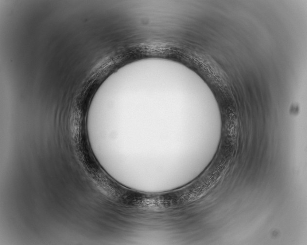 X0000103470744200810031520