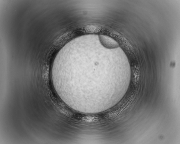 X0000103470745200810031520