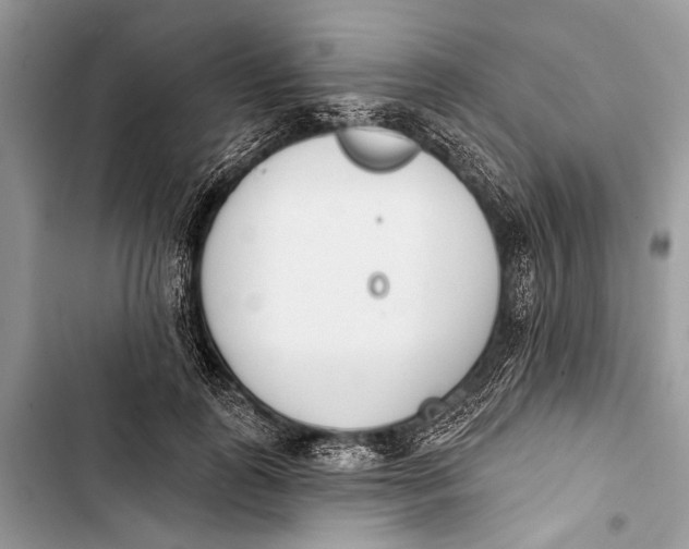 X0000103470747200810031520