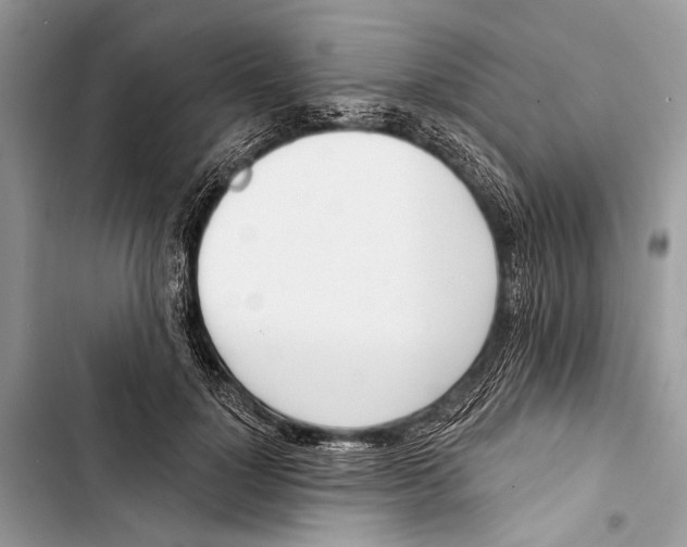 X0000103470748200810031520