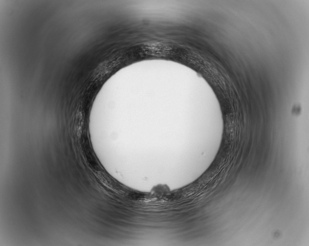 X0000103470752200810031520