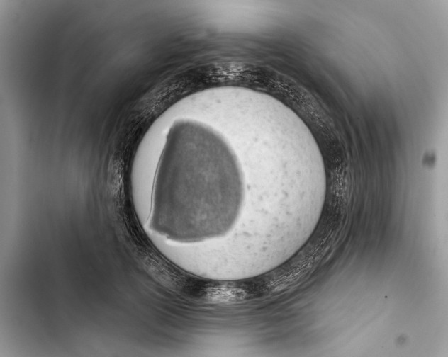 X0000103470754200810031520