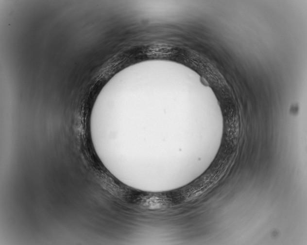 X0000103470755200810031520