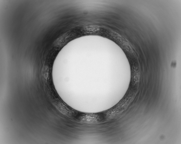 X0000103470758200810031520