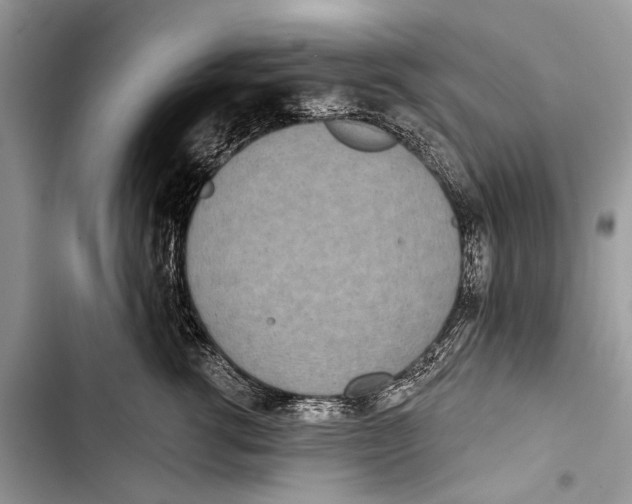 X0000103470762200810031520