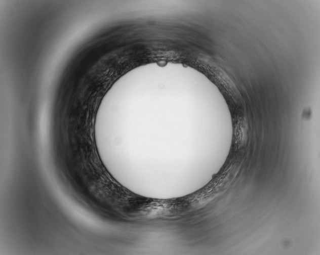 X0000103470764200810031520