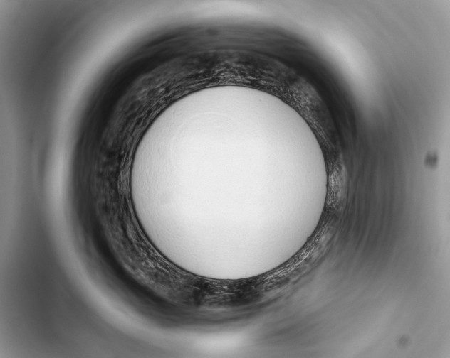 X0000103470765200810031520