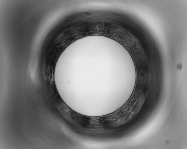 X0000103470766200810031520