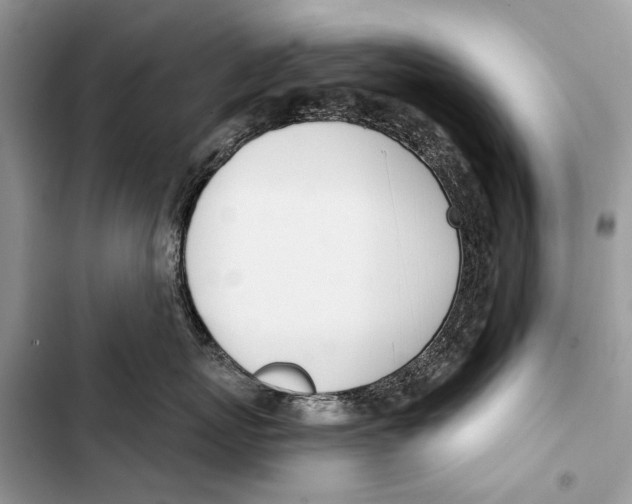 X0000103470767200810031520