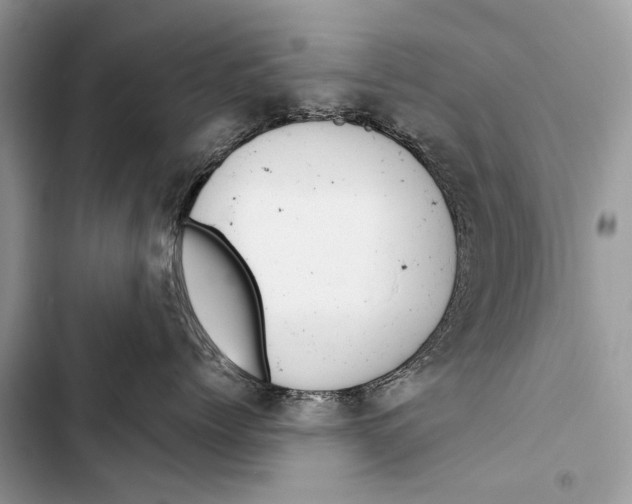 X0000103470768200810031520