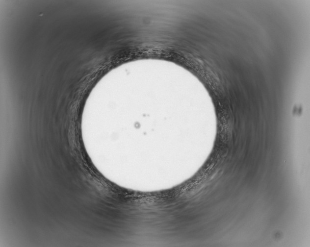 X0000103470769200810031519