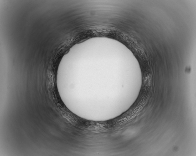 X0000103470772200810031519