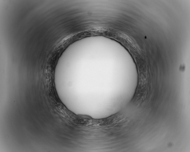 X0000103470773200810031519