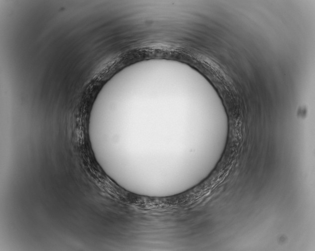 X0000103470774200810031519