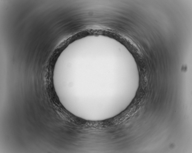 X0000103470775200810031519