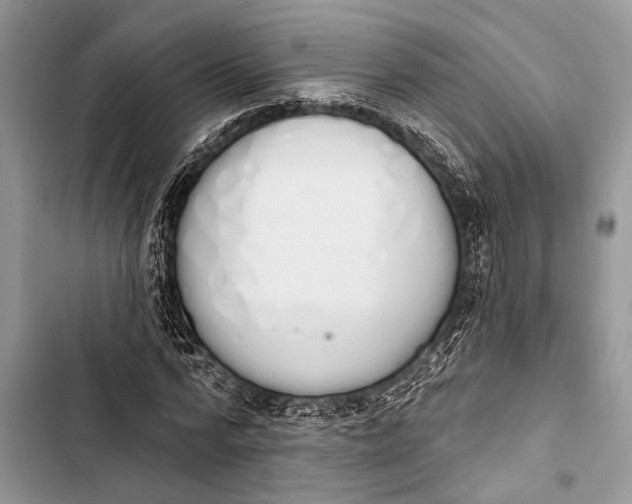 X0000103470776200810031519