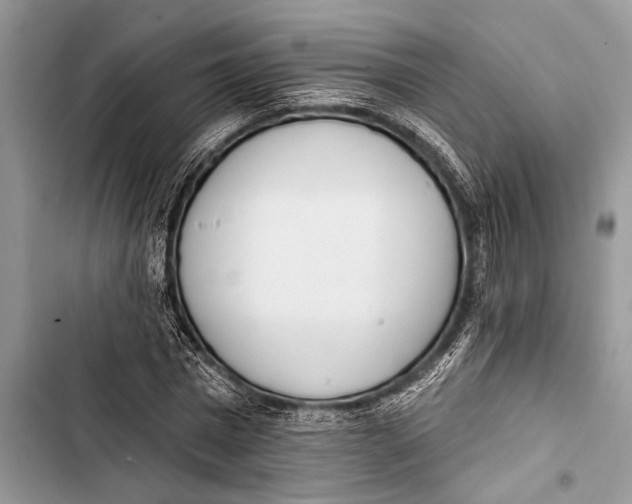 X0000103470777200810031519