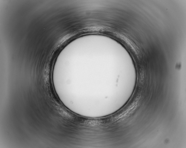 X0000103470778200810031519