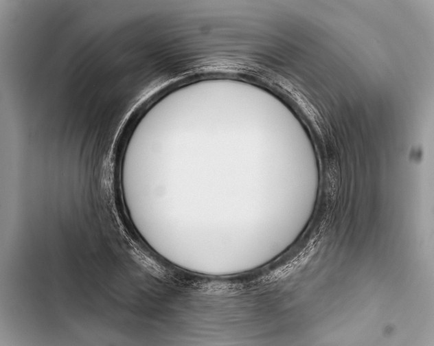 X0000103470779200810031519