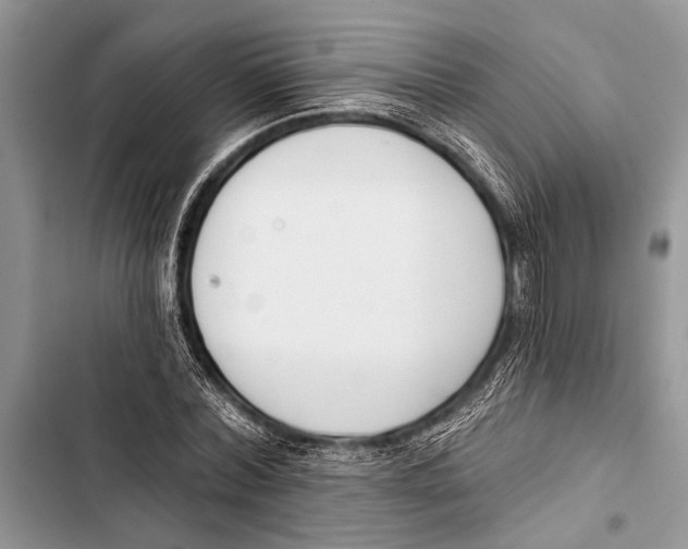 X0000103470780200810031519