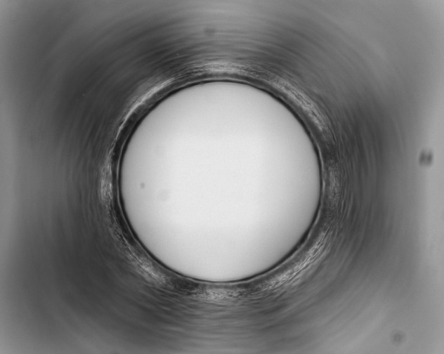 X0000103470782200810031519