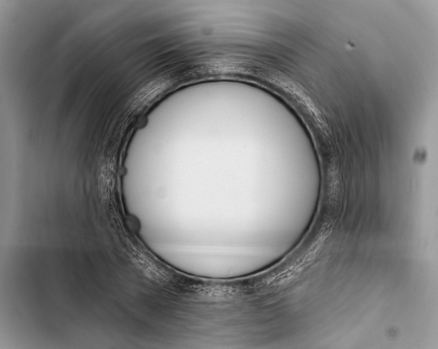 X0000103470785200810031519