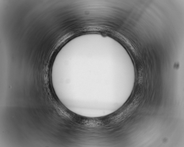 X0000103470786200810031519