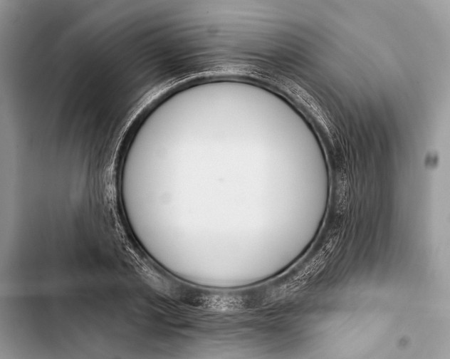 X0000103470789200810031519