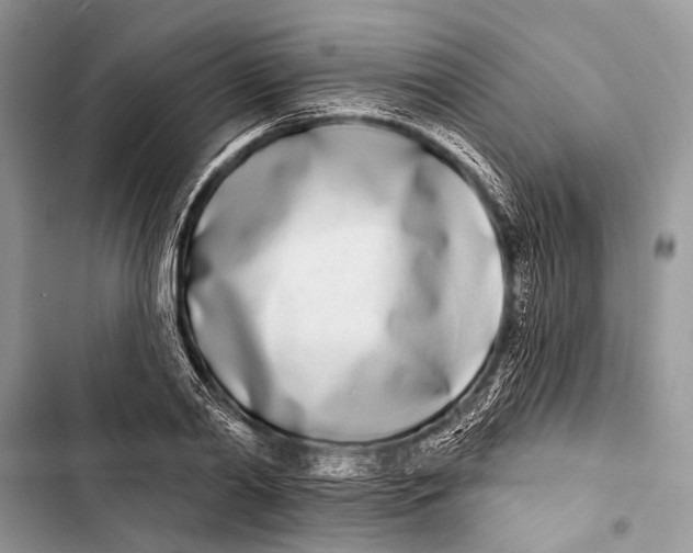 X0000103470790200810031519