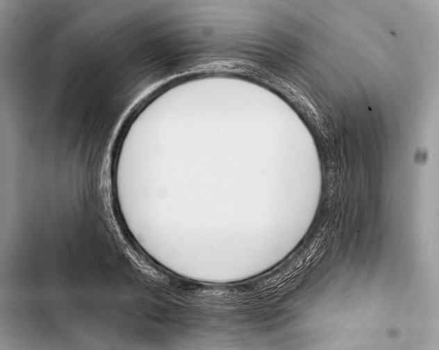 X0000103470792200810031519