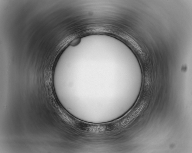 X0000103470793200810031519