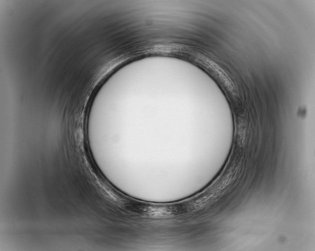 X0000103470794200810031519