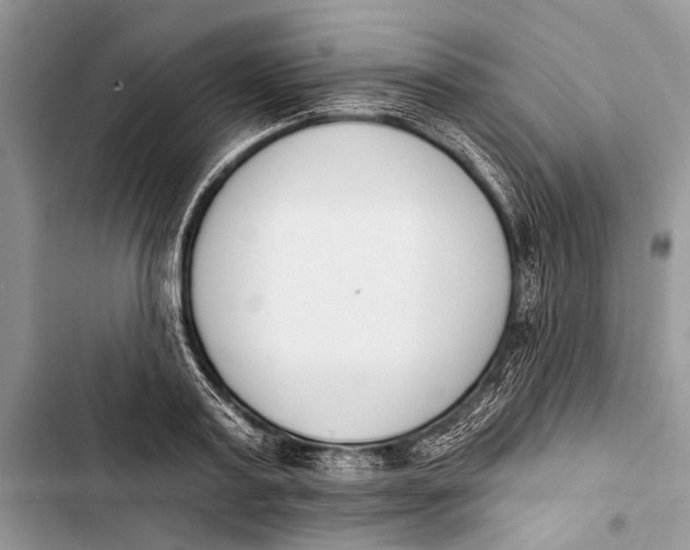 X0000103470795200810031519