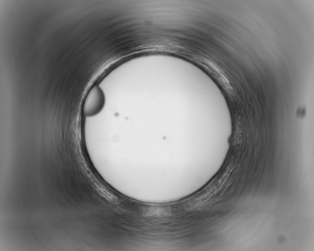 X0000103470796200810031519