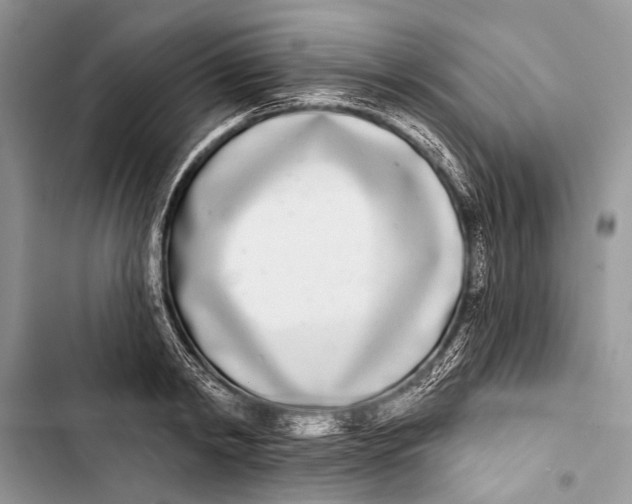 X0000103470798200810031519