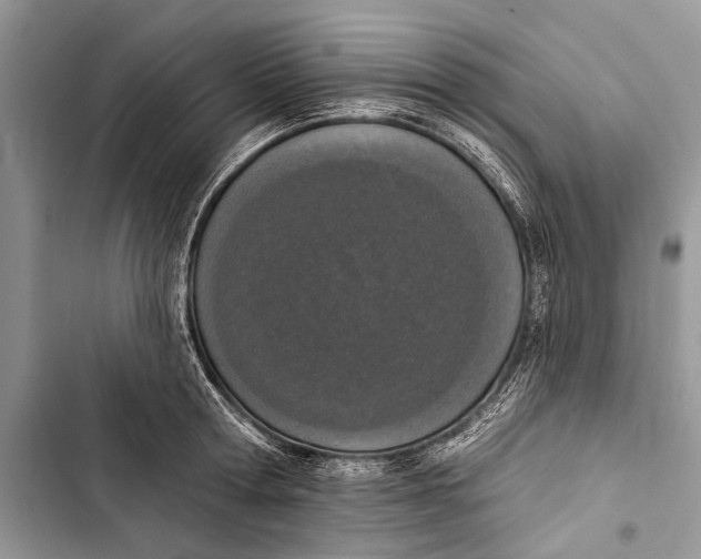 X0000103470802200810031519