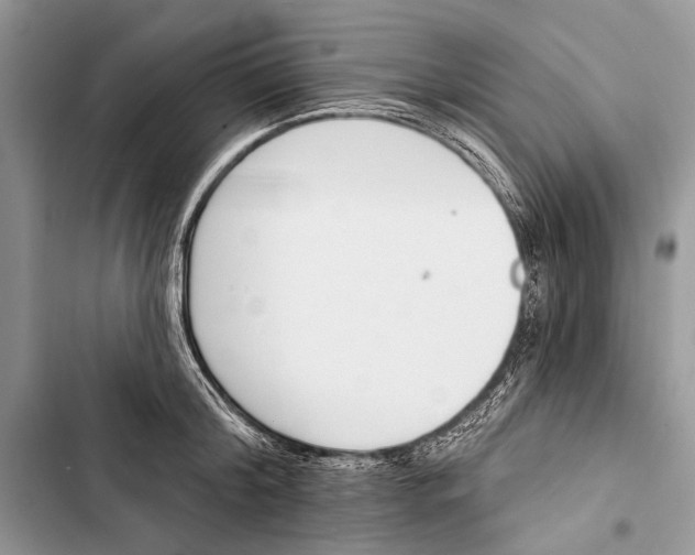 X0000103470804200810031519