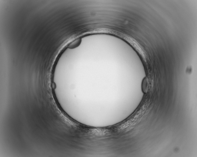 X0000103470805200810031519