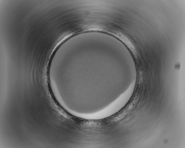 X0000103470806200810031519