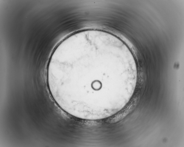 X0000103470807200810031519