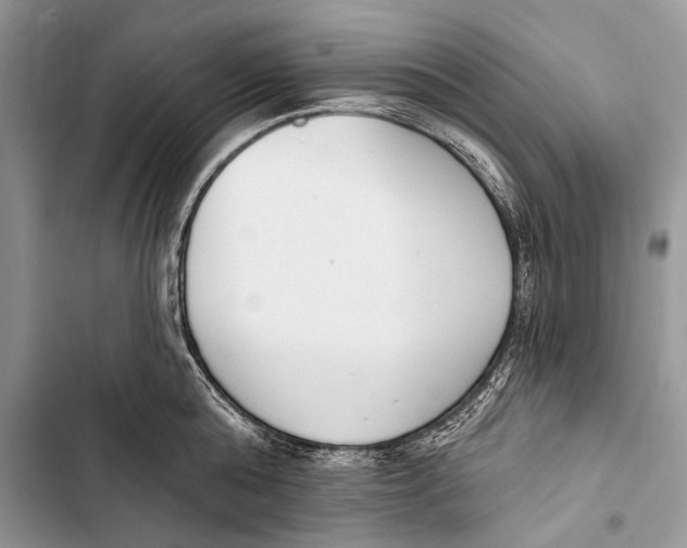 X0000103470808200810031519